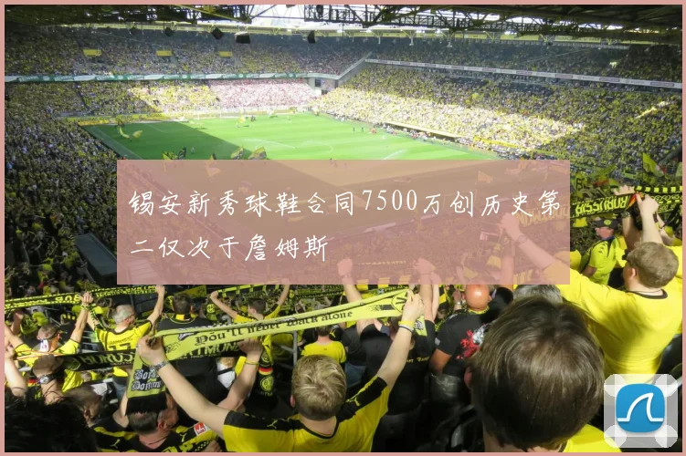 锡安新秀球鞋合同7500万创历史第二仅次于詹姆斯
