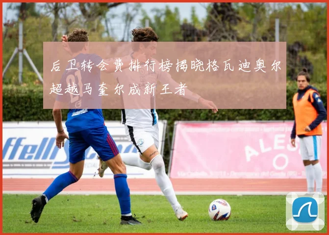 后卫转会费排行榜揭晓格瓦迪奥尔超越马奎尔成新王者